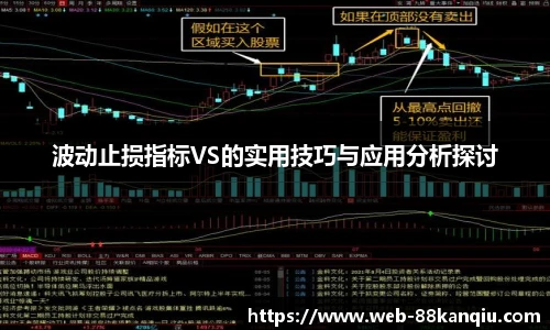 波动止损指标VS的实用技巧与应用分析探讨